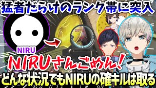 【APEX】絶対絶命の状況でもNIRUの確キルだけは取りに行くボブ一行（NIRU/あれる/きなこ/BobSappAim/切り抜き）