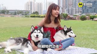 毛城城專訪 MoCity - 職業不影響領養  空姐Roseann：點都有時間陪愛犬