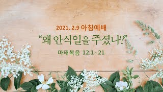 왜 안식일을 주셨나?(마태복음12:1~21)아침예배_노병균목사_(2021.02.09)