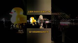 #shorts 橋上正面對決黃色小鴨 | 終於讓我拍到喔！超可愛超療癒超萌的啦