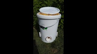 Best No Waste Poultry Feeder