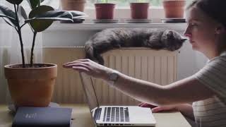 Spring 2024 Transfer Advising Video