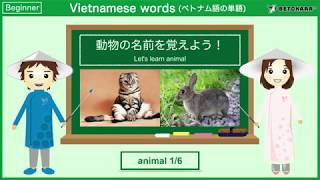 【90秒】ベトナム語で動物(1)の名前を覚えよう！Let's learn animal