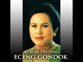 eceng gondok