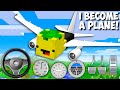 I became A BIG PLANE in Minecraft ! NEW SECRET VEHICLE !