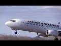 24 12 29 釧路空港 日本航空 jal boeing 737 800 ja340j arrival u0026 departure at kushiro airport rjck