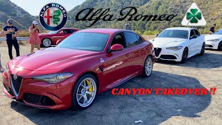 ALFA ROMEO CAR MEET | CANYON TAKEOVER !!