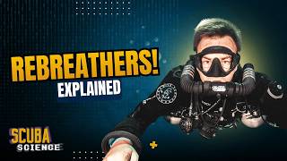 Rebreather Diving Explained: The Science Behind Extended Dives And Reduced Bubbles