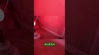 Master Voice Control TAPO with Alexa's Magic