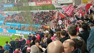 Leverkusen gegen 1.FC Köln 1:2 Mannschaft nach dem Sieg in der Kurve🤫🤫🤫