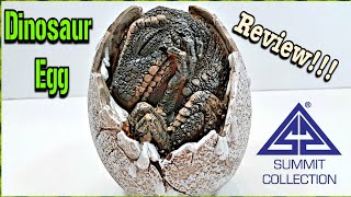 Summit Collection Hatching Dinosaur Egg #2 Review!!!