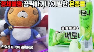 정체불명의 끔찍한 혼종들 ㅋㅋㅋ