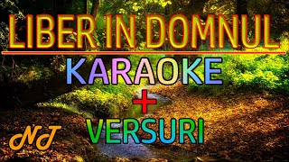 Liber in Domnul - karaoke (negativ) + versuri