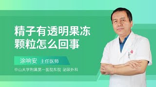 精子有透明果冻颗粒怎么回事？