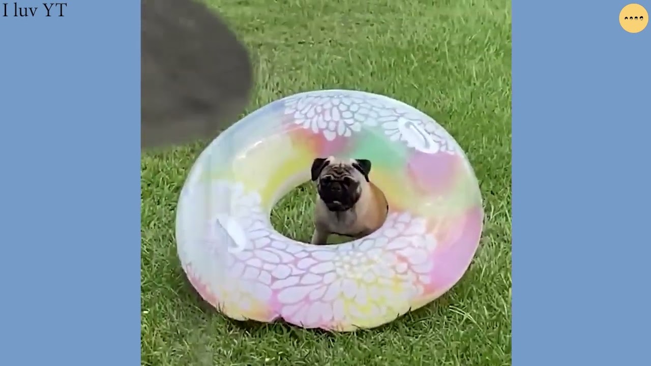 Nonstop Pool Fails Youtube