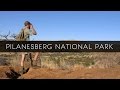 A Day in Pilanesberg National Park