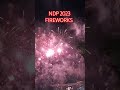 NDP 2023 FIREWORKS #shorts #singapore #fireworks #ndp2023 #ndpfireworks #marinabaysingapore