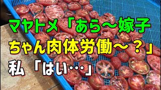 【スカッとひろゆき】マヤトメ「あら～嫁子ちゃん肉体労働～？」 私「はい…」