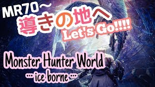【MHWI参加型】MR70以上導きの地”森林地帯”LV上げ！(40分2set)・・・の後フリクエ＆調査クエで遊びましょう☆概要欄必読【モンハンワールドアイスボーン】