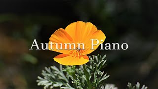가을이 되면 피아노 음악을 듣다 | Autumn Piano | Relaxing Piano | 𝐓𝐇𝐄 𝐏𝐈𝐀𝐍𝐎