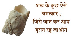 शंख से जुड़ी ये जरूरी बातें जरूर जानें | Conch/ Shank's Important Facts |