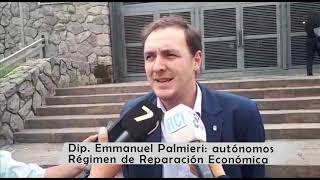 Dip Palmieri - Reparación económica