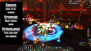 Cataclysm - Beth'tilac : Firelands Boss Strategy Guide