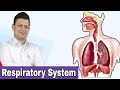 Respiratory System | Master Kashif | Biology Mk |