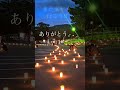 【なら燈花会】 奈良 3年ぶり 開催 興福寺 世界遺産 nara shorts japan