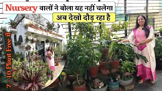 मैंने कैसे लगाये छत पर 5000 पौधे Nursery वालों ने बोला यह PLANT नहीं चलेगा अब देखो दौड़ रहा है देखिए