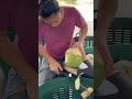 hardworking woman thai girl coconut cutting skills fruit cutting skills