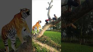 বাঘের ভয়ে দুই বন্ধু 🤣 A tiger attacks #vfx #tiger #animals  #reels