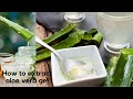 Mask fudud oo wajiga u fiican| Sidan u sameyso aloe vera gel| How to extract aloe vera gel