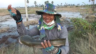 Fishing snakehead fish at national road 51 Cambodia fishing season 2022