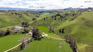 SOLD - OUTSTANDING TAMAIHU - 337HA - THE ULTIMATE PACKAGE!