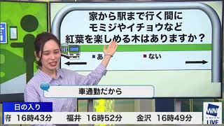 内田侑希　ホームで一言(20/11/09)月