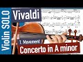 Vivaldi Concerto in A minor VIOLIN DUO Arrangement CLOSE UP Violin SOLO, 1. Movement, Op. 3 No. 6
