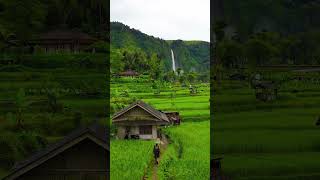 Sumpah! Inilah Suasana Pedesaan Terindah di Indonesia saat ini,Pemandangan Alam Lauterbrunnen
