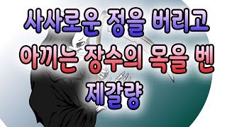 삼국지 고사성어 유래 이야기 - 읍참마속, 반골, 백미 by 아기뼝아리