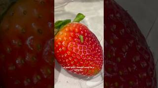 I Found A Bug On My Strawberry And Grew 100 Of Them🍓🐛