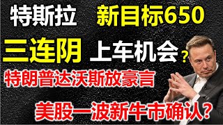 【特斯拉新目标价650】韦德布什再上调特斯拉目标位，三连阴是上车良机吗？特朗普2.0就是去特斯拉化，去英伟达化，事儿大了如何应对？#特斯拉  #美股 #股哥说美股 #tesla #马斯克 #美股复盘