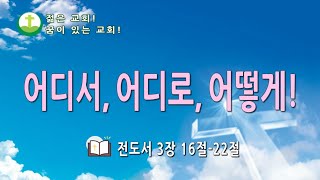 어디서, 어디로, 어떻게! - 이성택 목사