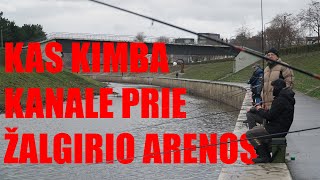 Kas kimba kanale prie Žalgirio arenos?