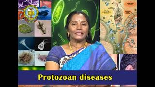 BRAOU B.Sc. 1st Year 1st Semester Zoology:  Protozoan Diseases