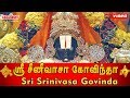 ஸ்ரீ சீனிவாச கோவிந்தா | Sri Srinivasa Govinda -Video| Perumal Songs| Perumal Padal | Purattasi Masam