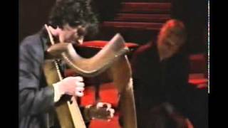 Irish Harp ~~ Paul Dooley