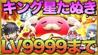 【白猫】キング星たぬきLV9999まで終わりません！新★20協力も登場！