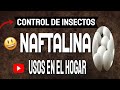 ✅ Control de insectos: NAFTALINA ¿Para qué Sirve? ¡7 Usos en el Hogar!