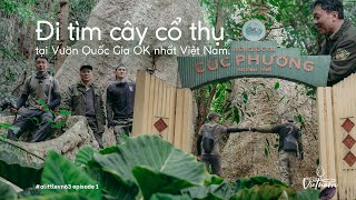 #1 Đi tìm cây cổ thụ tại Cúc Phương | Finding the thousand-year-old tree in Cuc Phuong, Vietnam