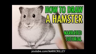 How to Draw a Hamster [Animal Tutorial #15]